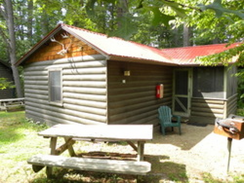 Cabin 11